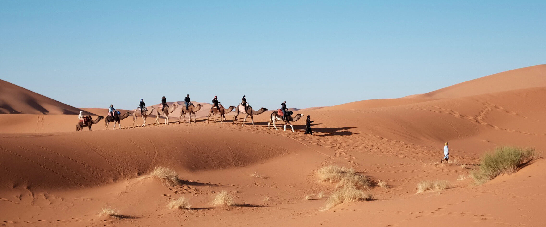 Arabs riding camels through the desert